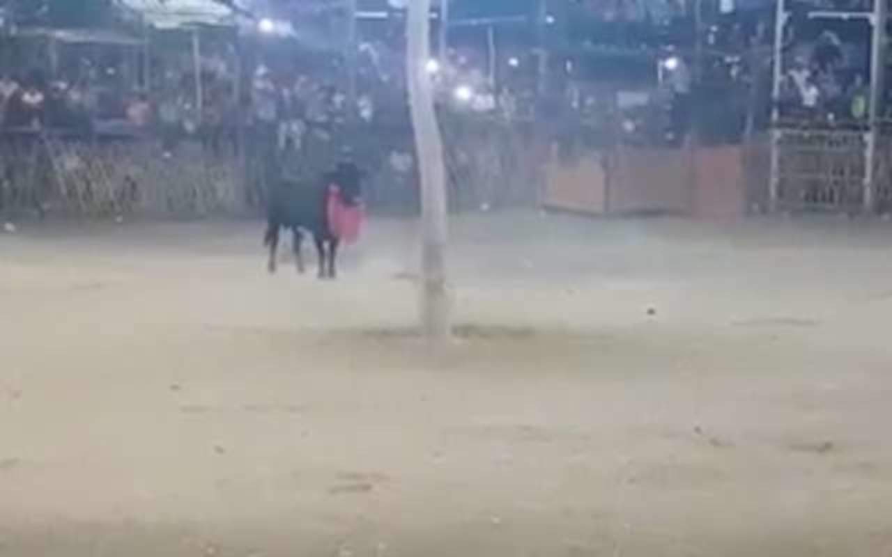 Escapa toro de ruedo y lesiona a 6 en Yucatán. Noticias en tiempo real