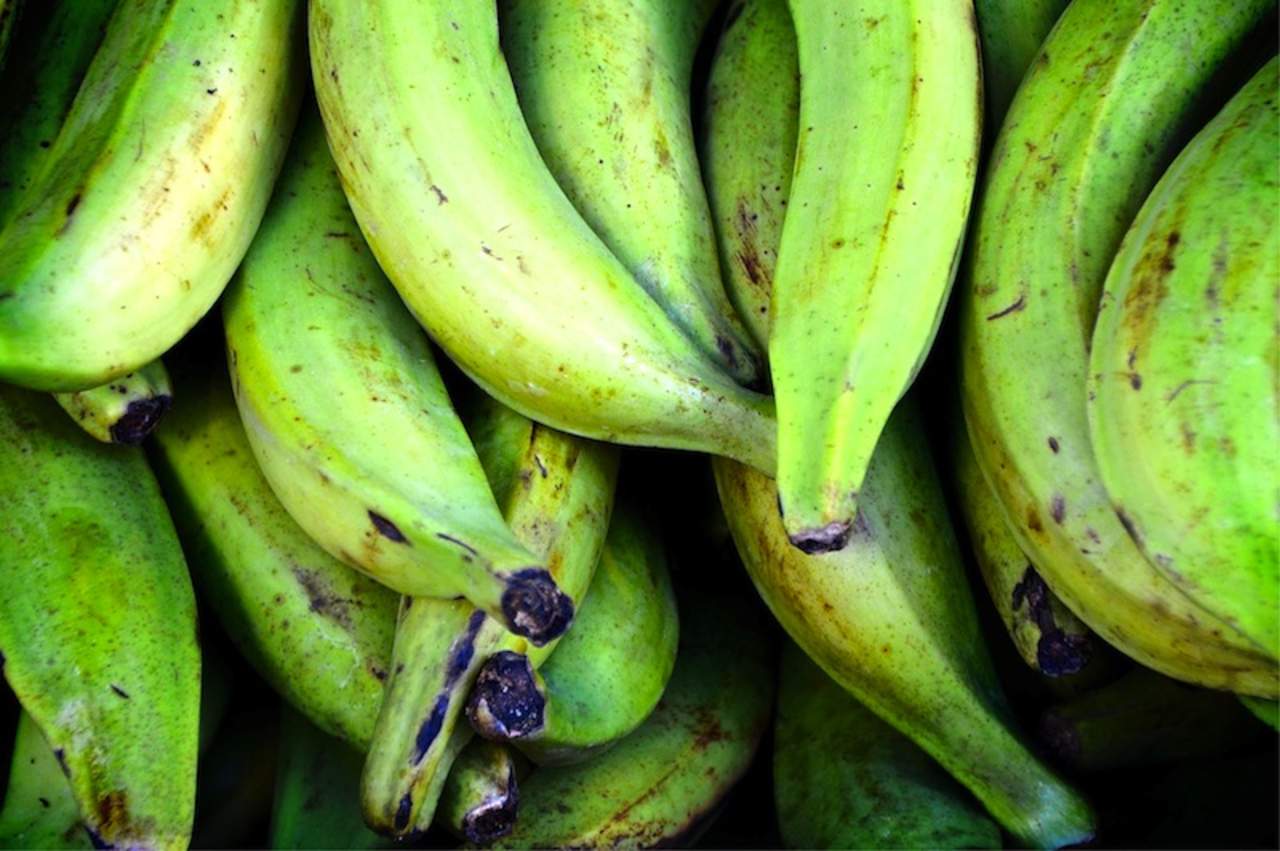 Mexicanos utilizan plátano verde contra enfermedades. Noticias en tiempo real