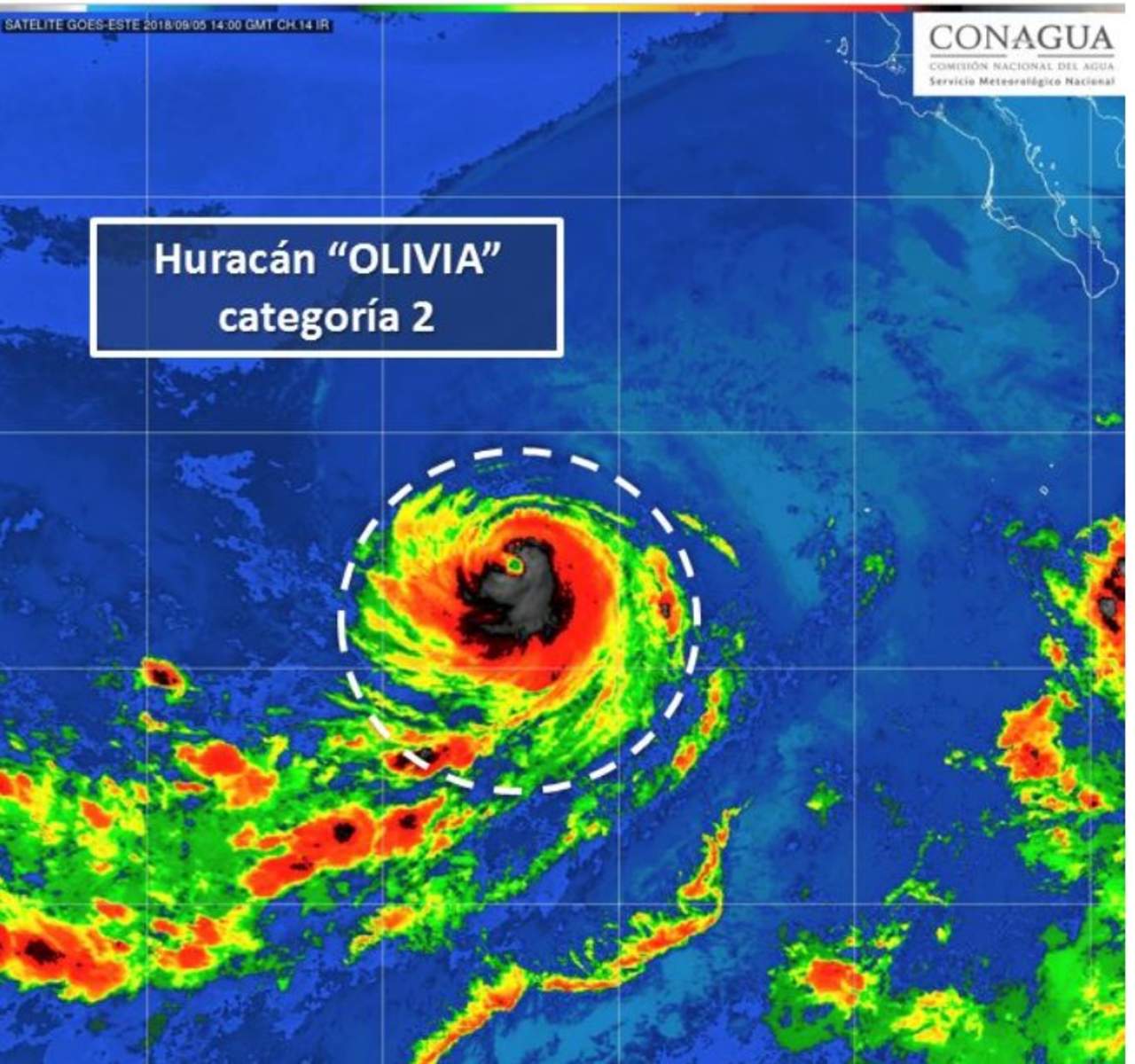 Se aleja huracán Olivia de Baja California. Noticias en tiempo real