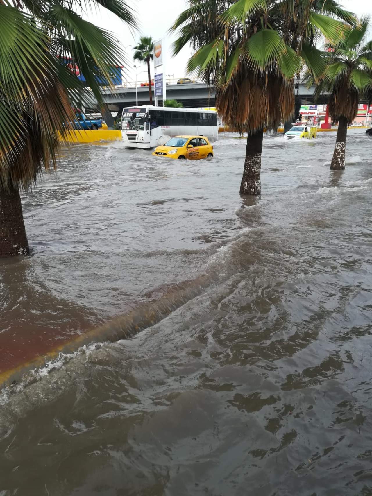 Registra Torreón 80.1 mm de agua acumulados. Noticias en tiempo real