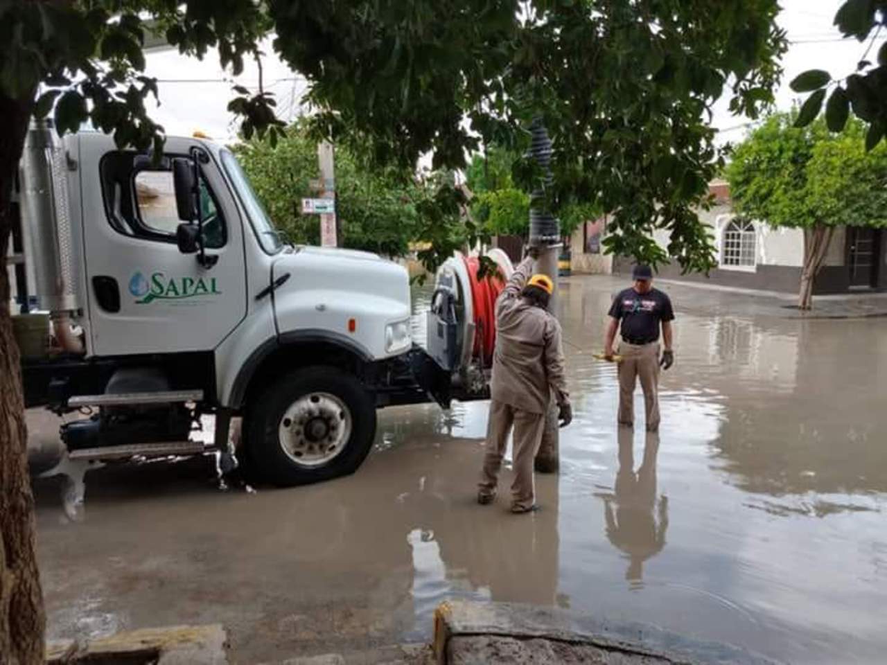 Sapal realiza labores de limpieza en drenajes. Noticias en tiempo real