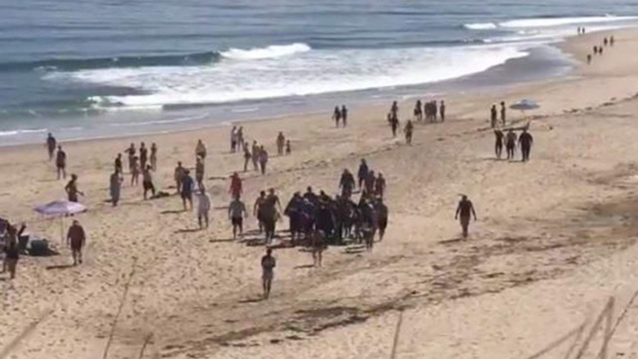 Tiburón mata a surfista en playa de Estados Unidos. Noticias en tiempo real