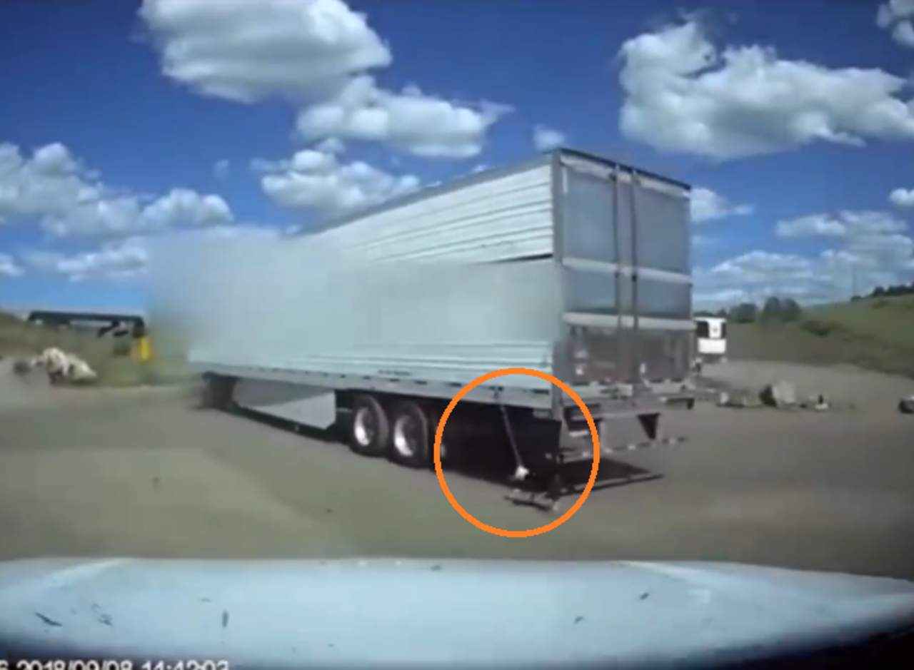 Rescatan a perro atado a un camión. Noticias en tiempo real