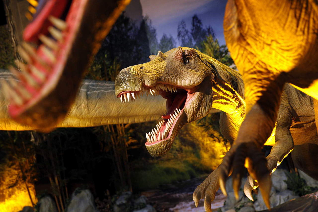 Persisten misterios sobre los dinosaurios. Noticias en tiempo real