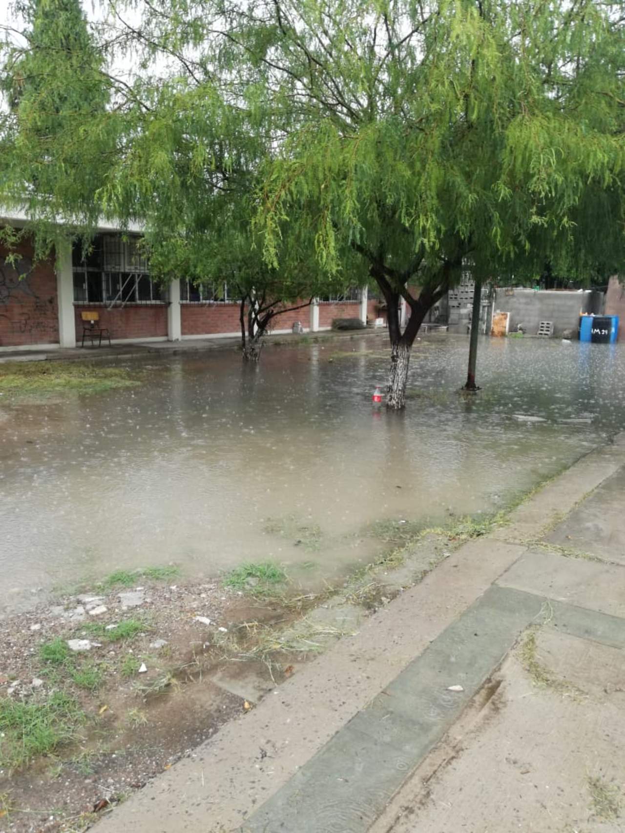 Reportan ausentismo en escuelas de Torreón por lluvias. Noticias en tiempo real