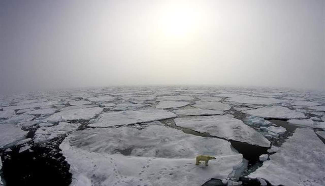 Reportan disminución acelerada de hielo en el Ártico. Noticias en tiempo real