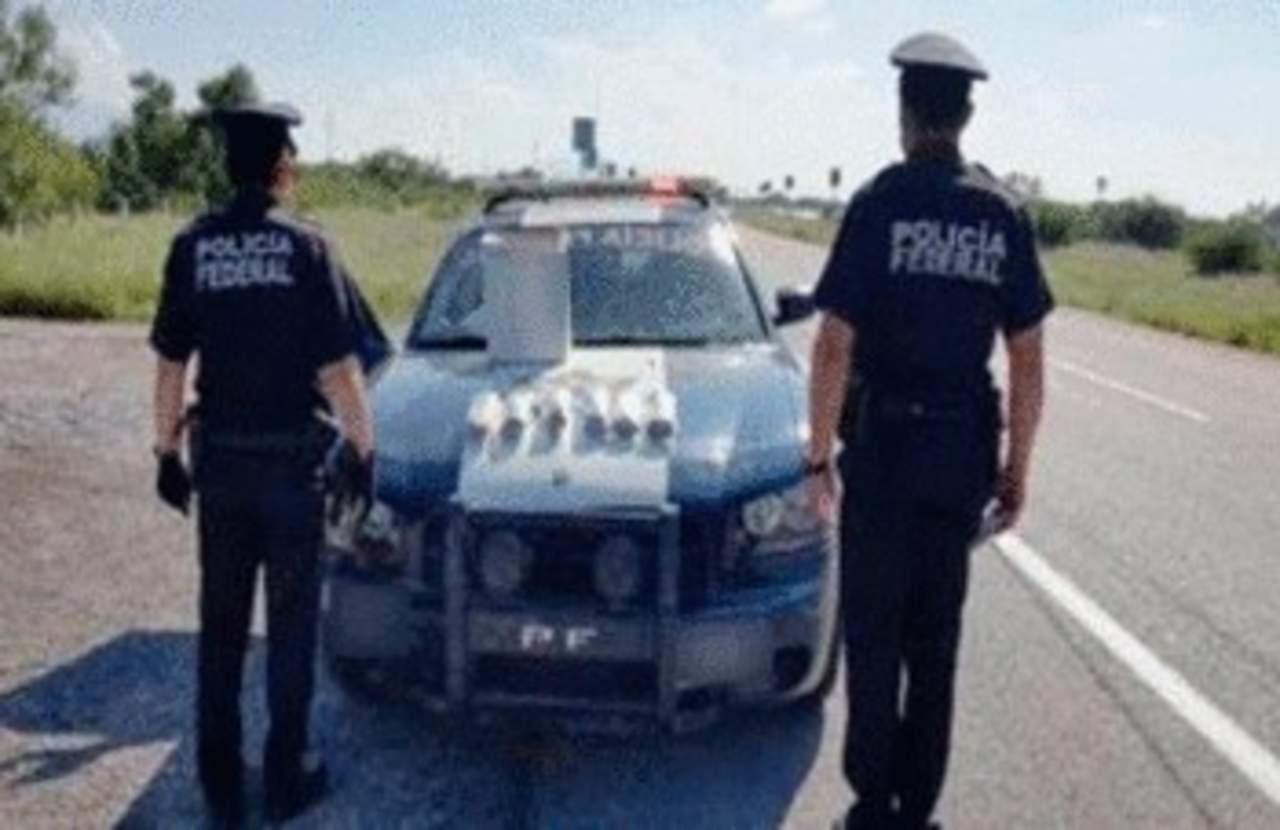 Policía Federal asegura vehículo con droga. Noticias en tiempo real
