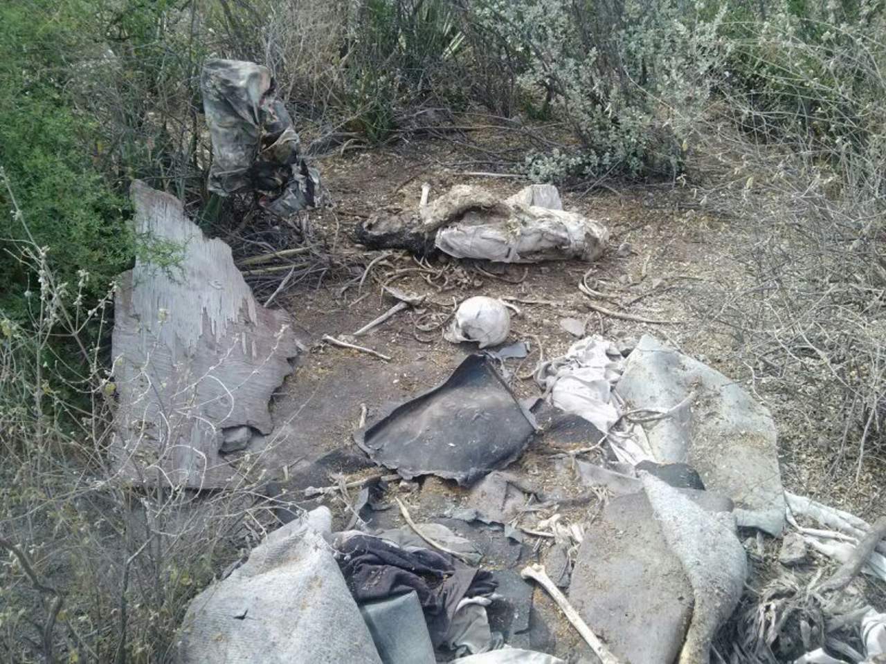 Encuentran restos humanos en ejido de San Buenaventura. Noticias en tiempo real