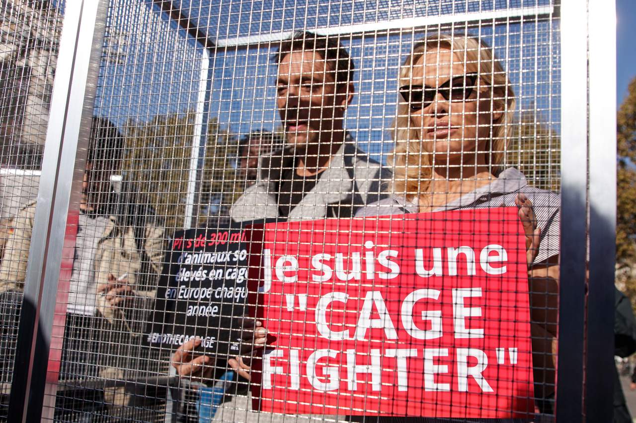 Pamela Anderson denuncia la cría de animales en jaulas. Noticias en tiempo real