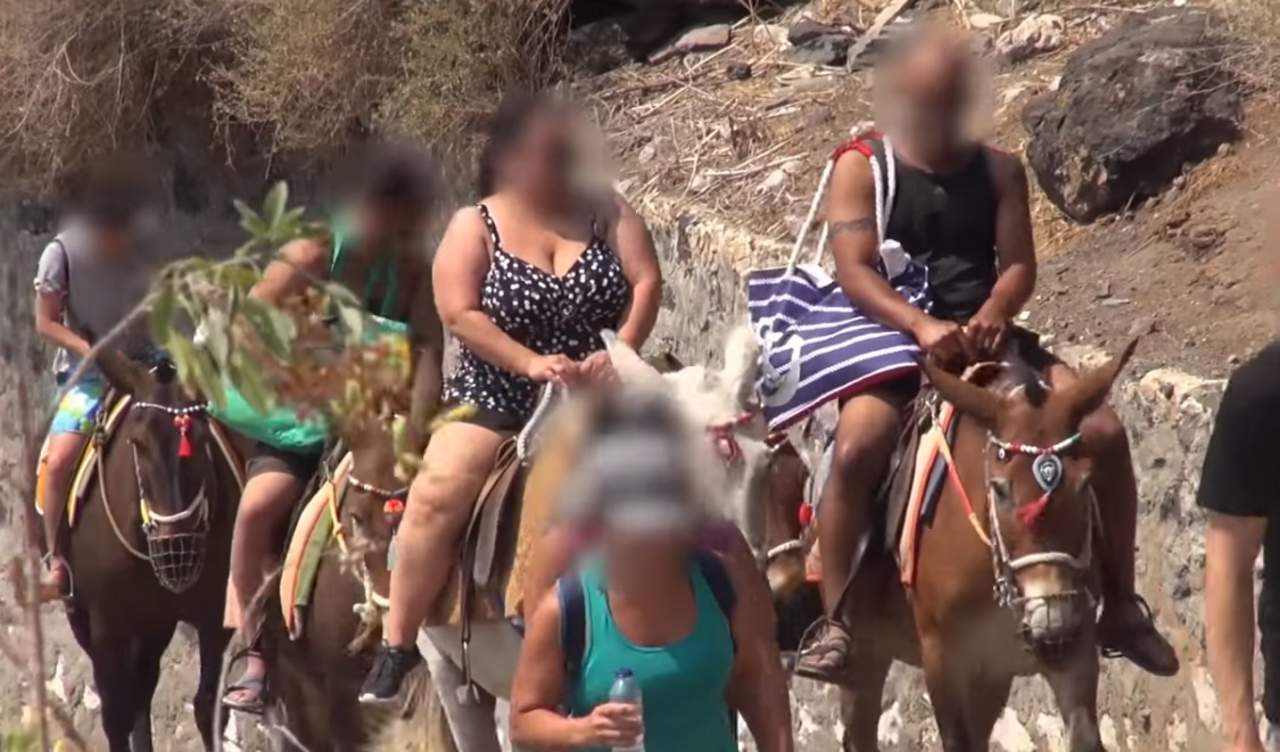 Grecia prohibirá viajar en burro a turistas con sobrepeso. Noticias en tiempo real
