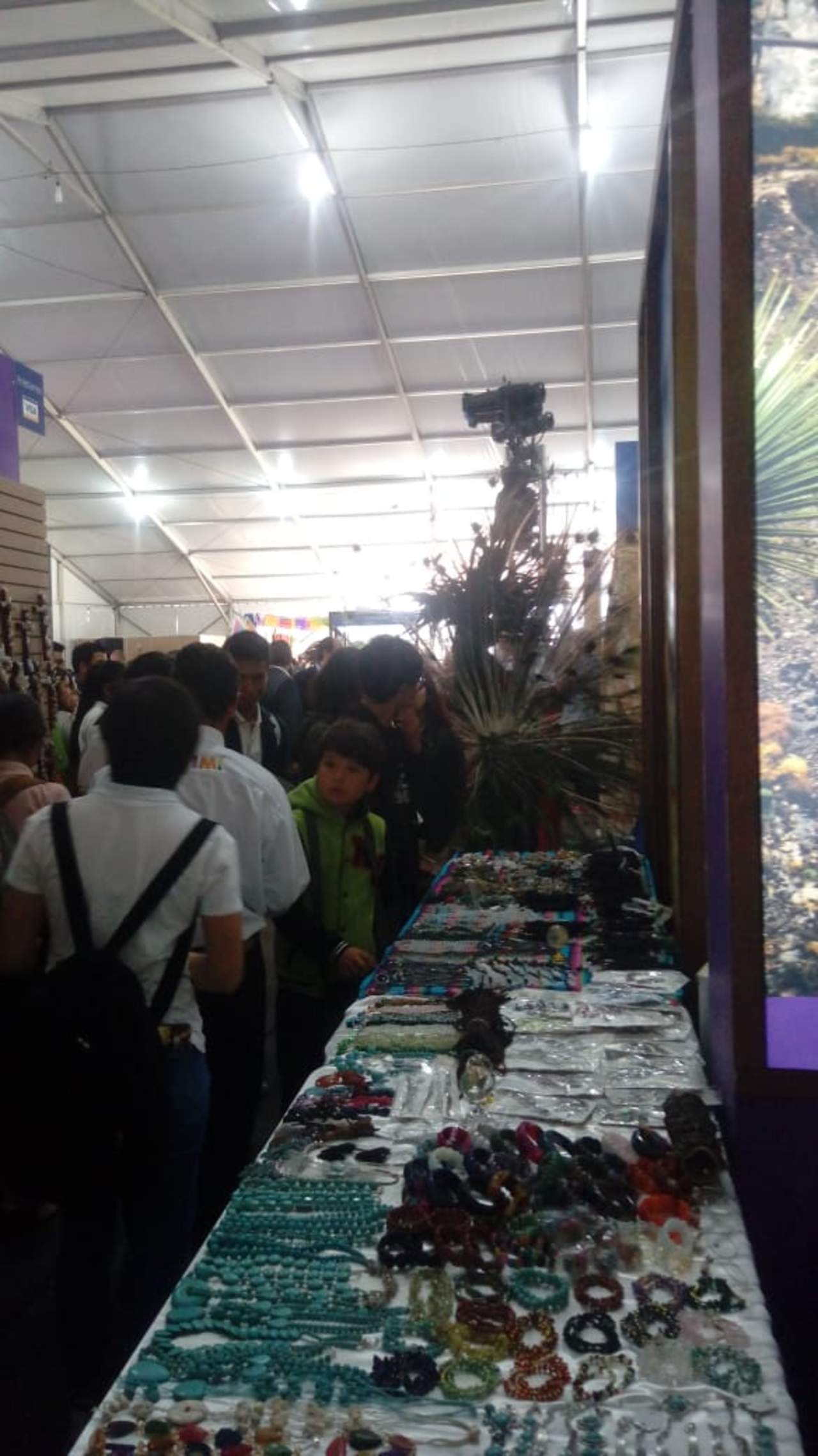 Participa Mapimí en Feria de Pueblos Mágicos 2018. Noticias en tiempo real