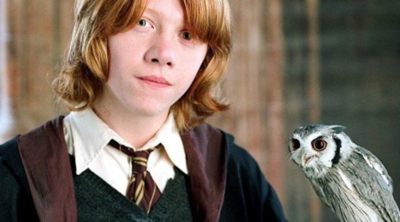 Rupert Grint confiesa por qué quiso renunciar a Harry Potter. Noticias en tiempo real