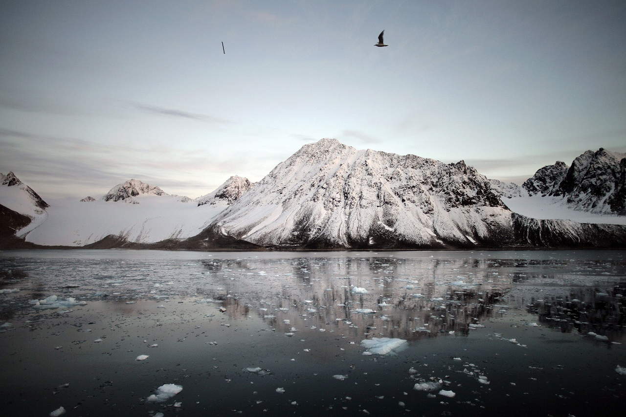 Nuevo hielo del Ártico presenta mayor vulnerabilidad. Noticias en tiempo real