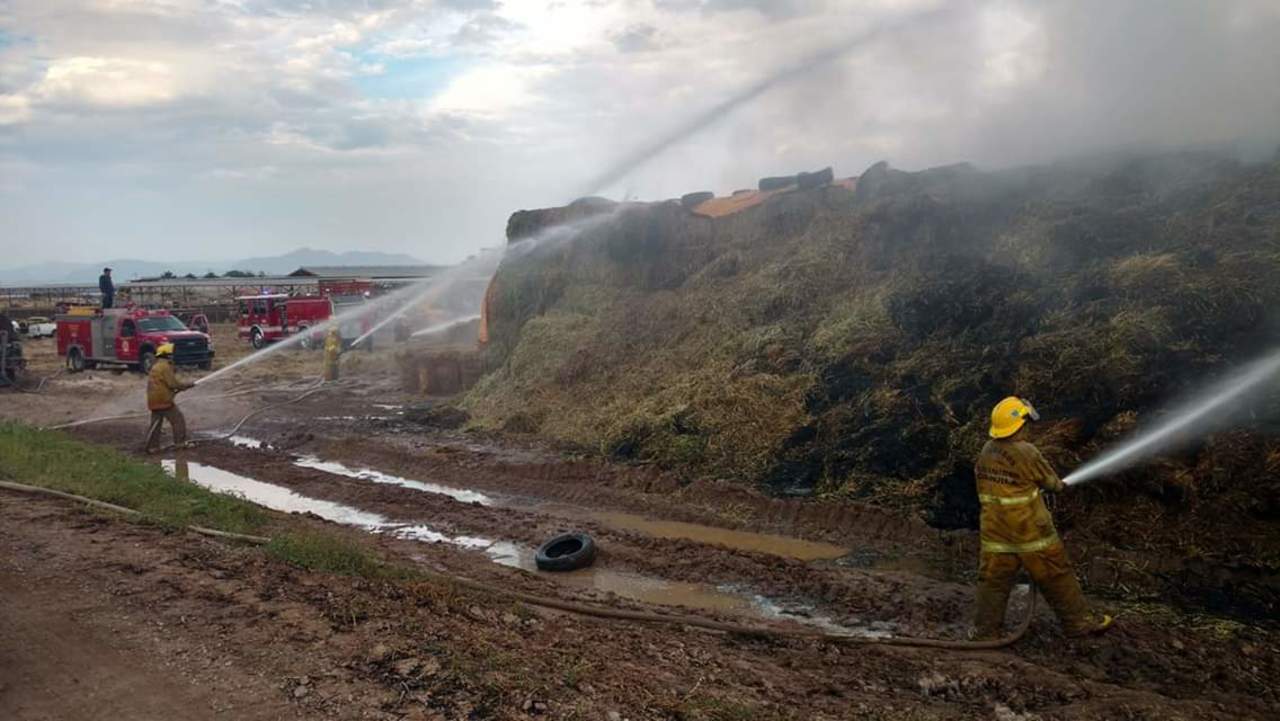Se queman 400 toneladas de forraje en Matamoros. Noticias en tiempo real
