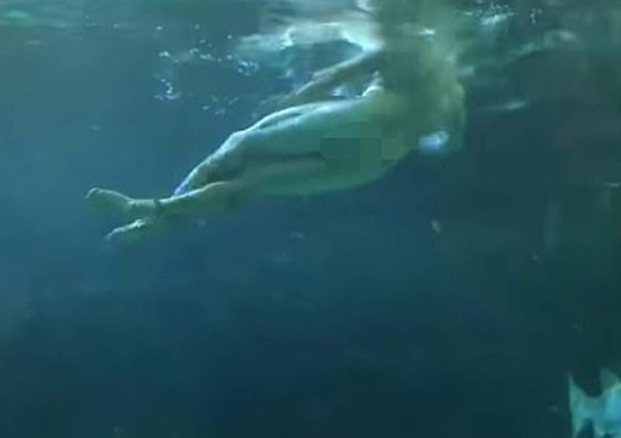 Hombre desnudo se lanza a tanque de tiburones. Noticias en tiempo real