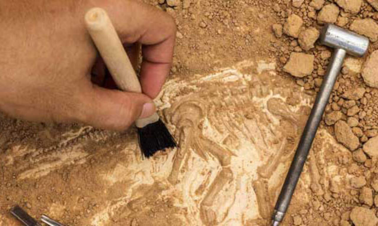 Cuestionan origen biológico de los restos de vida más antiguos. Noticias en tiempo real