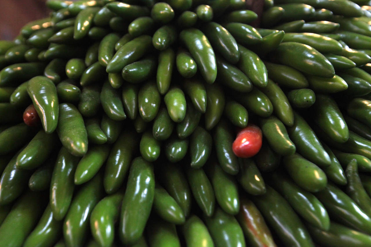 Productores locales de chile son reconocidos a nivel nacional. Noticias en tiempo real
