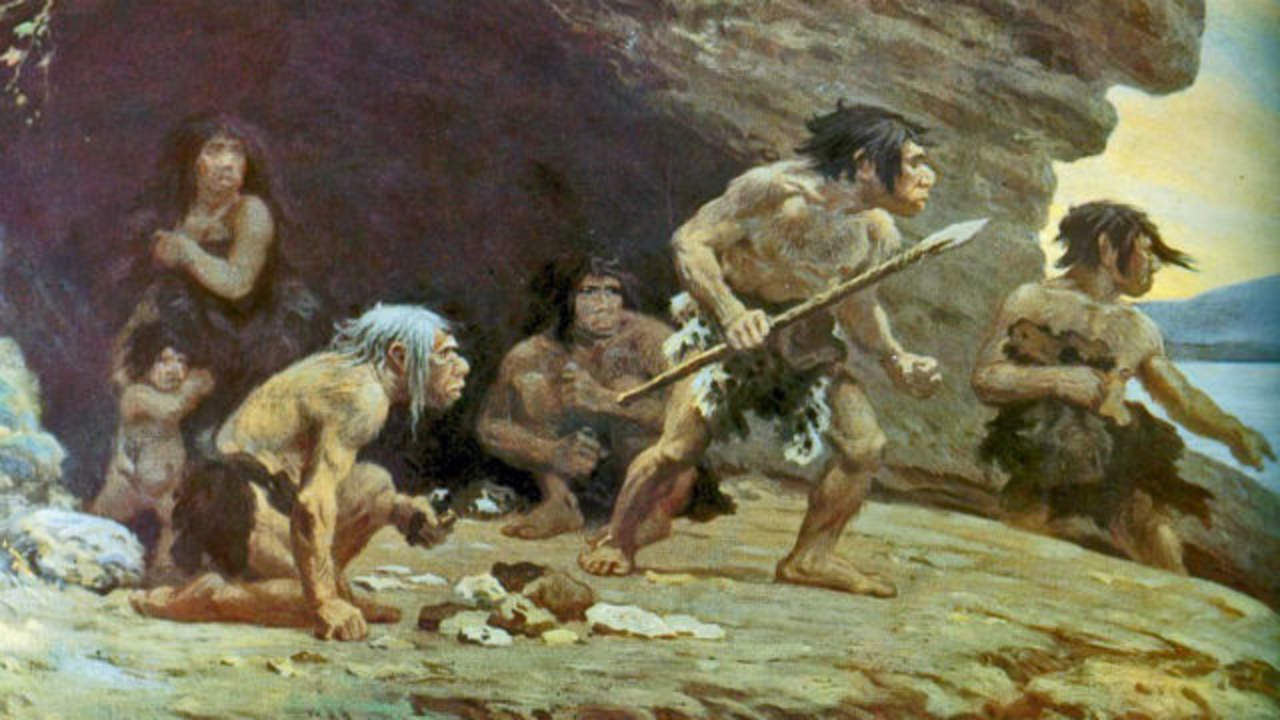 Las diferencias entre el neandertal y el sapiens. Noticias en tiempo real