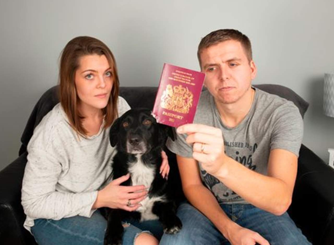 Vacaciones frustradas porque su perro mordió sus pasaportes. Noticias en tiempo real