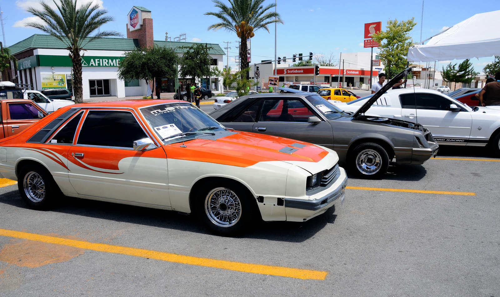 Fiesta de autos Mustang en La Laguna. Noticias en tiempo real
