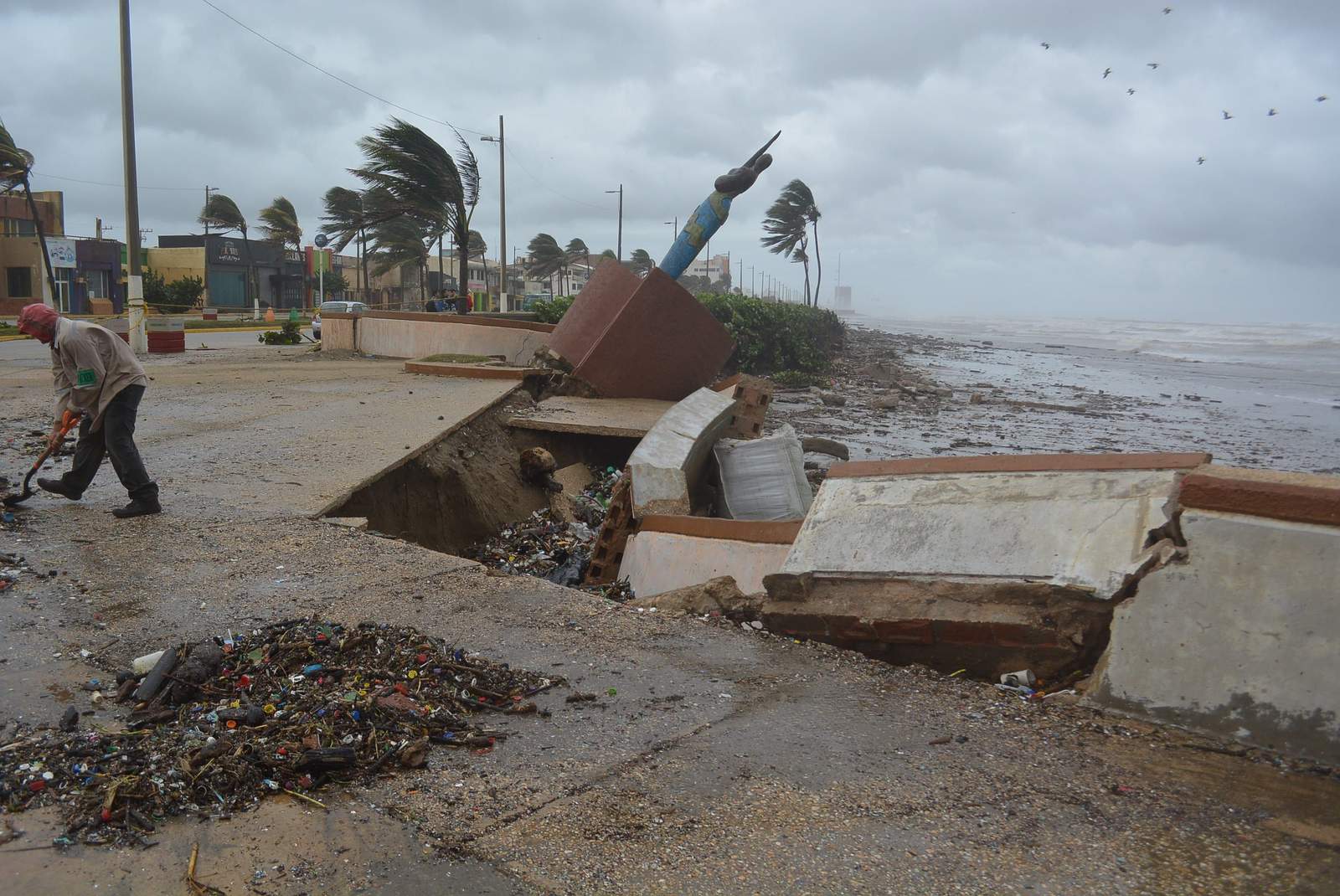 Sedena aplica Plan DN-III por frente frío en Veracruz. Noticias en tiempo real