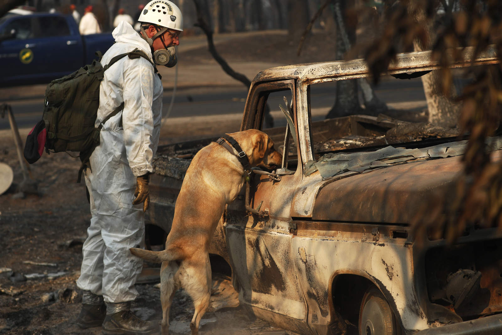 Suman 76 muertos por incendios en California. Noticias en tiempo real