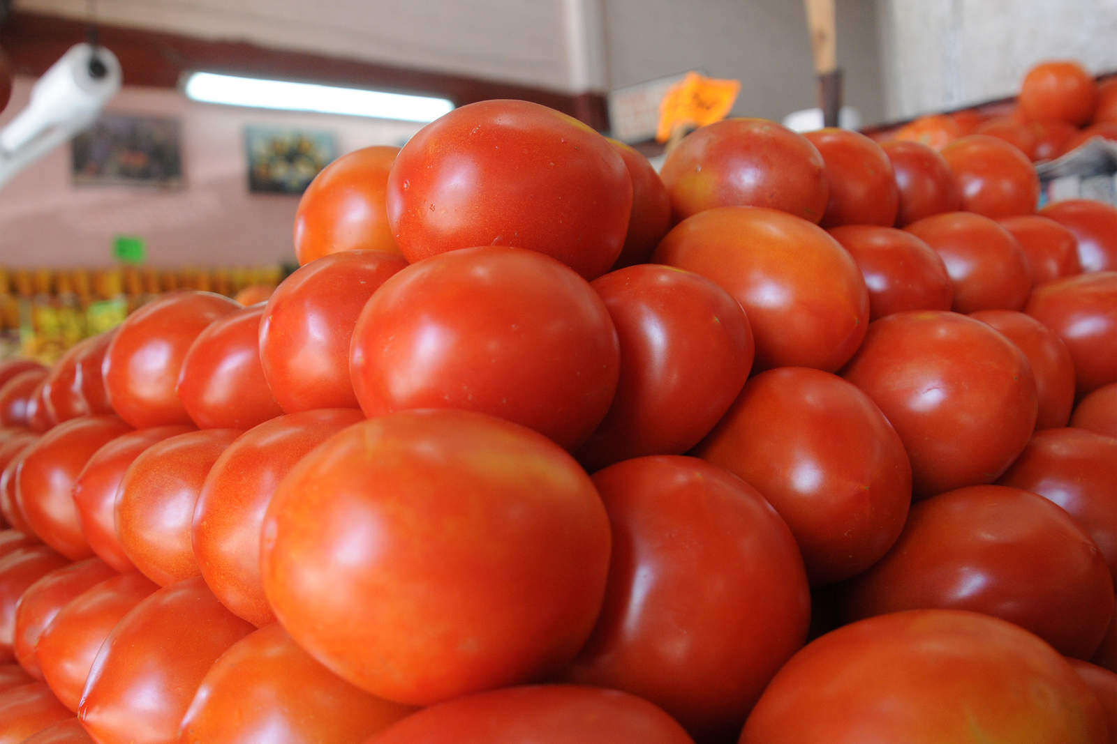 Sube precio del tomate y otros productos en la región. Noticias en tiempo real