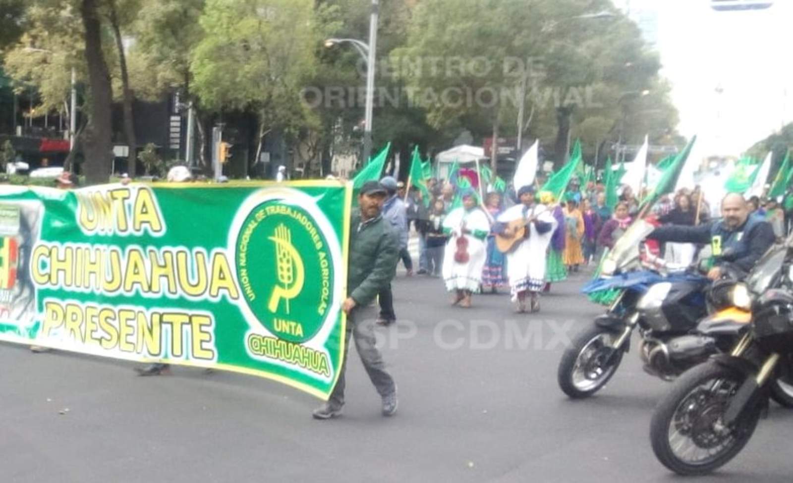 Campesinos exigen a próximo gobierno mayores apoyos. Noticias en tiempo real