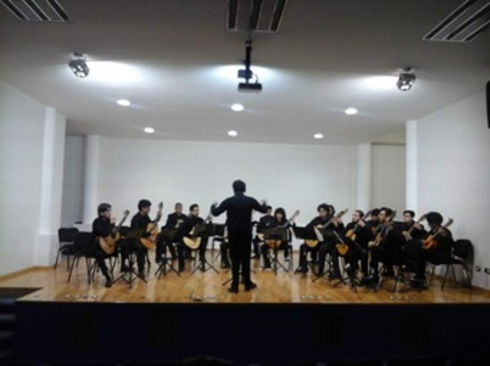 Instituto Bellas Artes de Lerdo invita a concierto de guitarra. Noticias en tiempo real