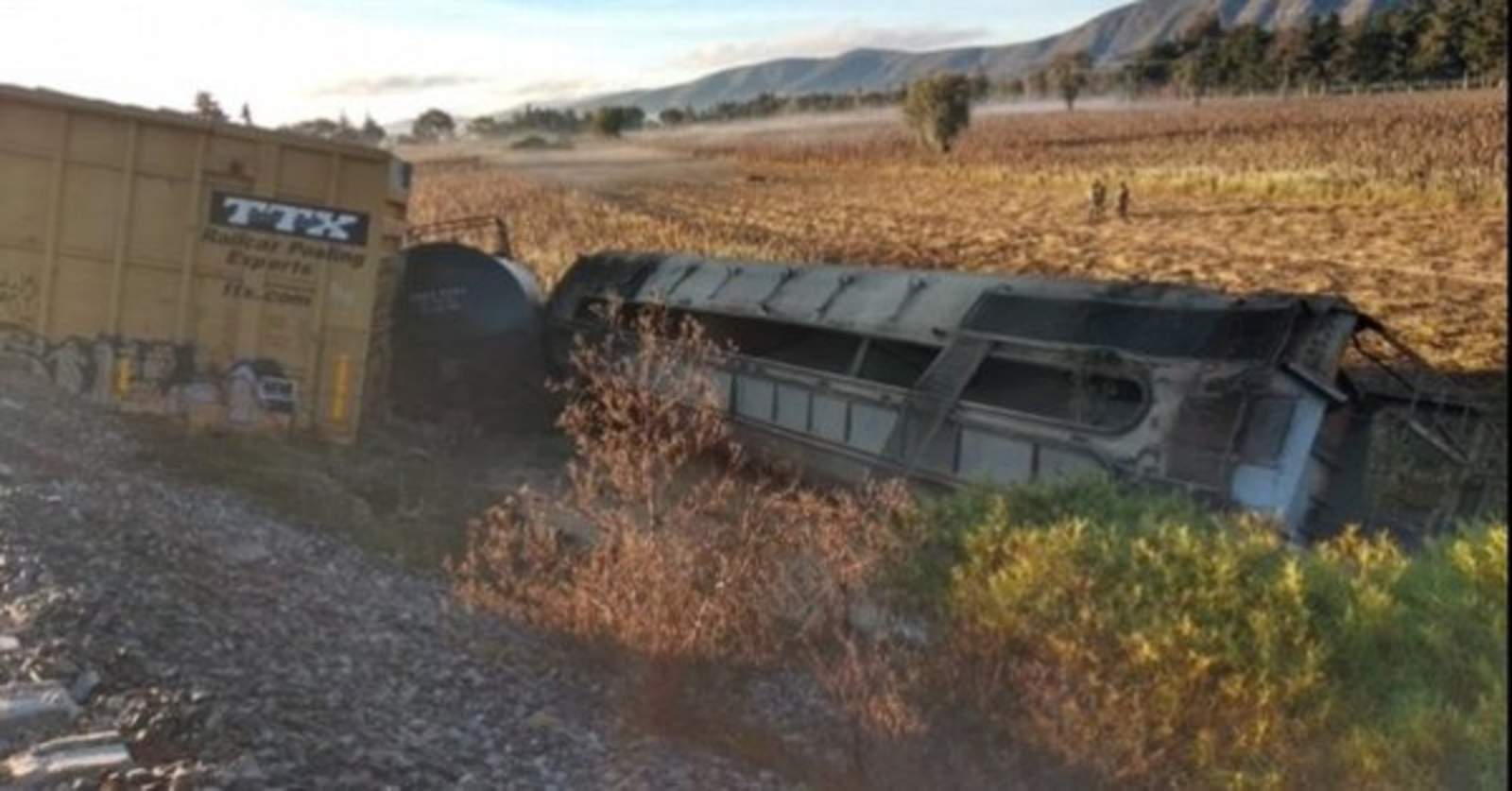 Tren descarrila en Puebla por intento de robo de mercancía. Noticias en tiempo real