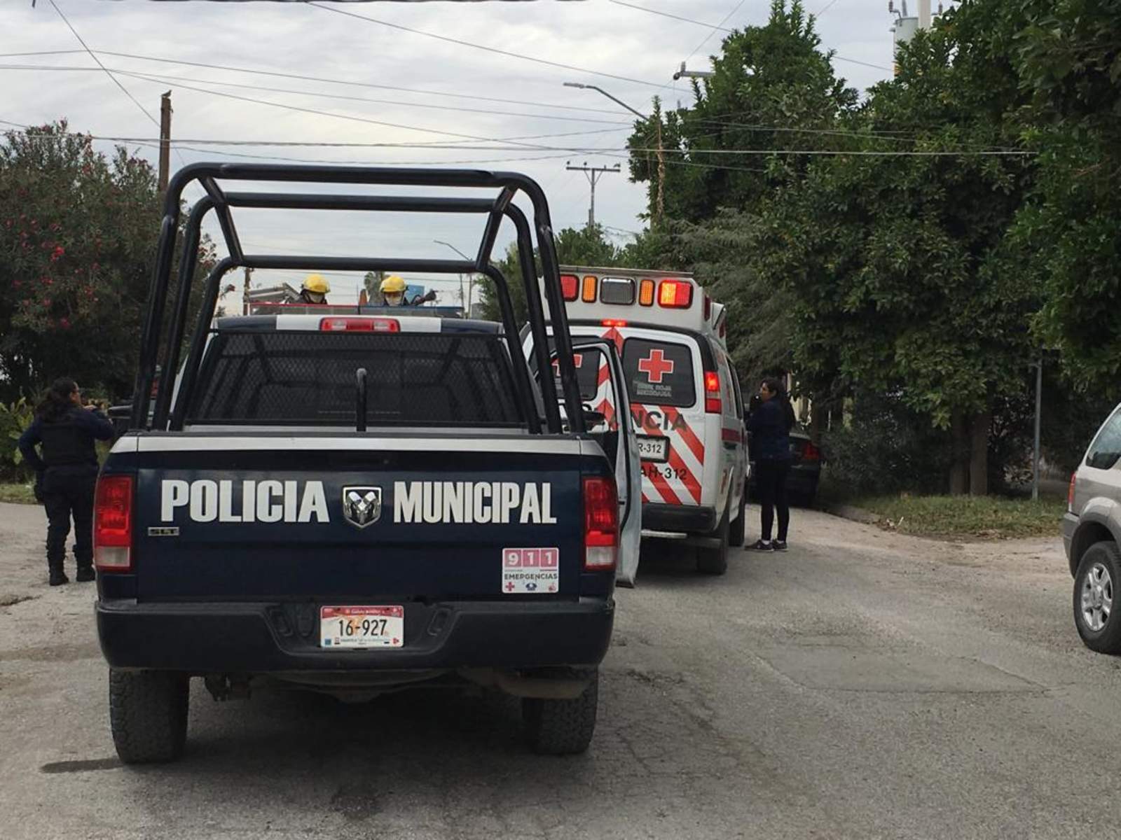 Perro ataca a mujer en Torreón. Noticias en tiempo real