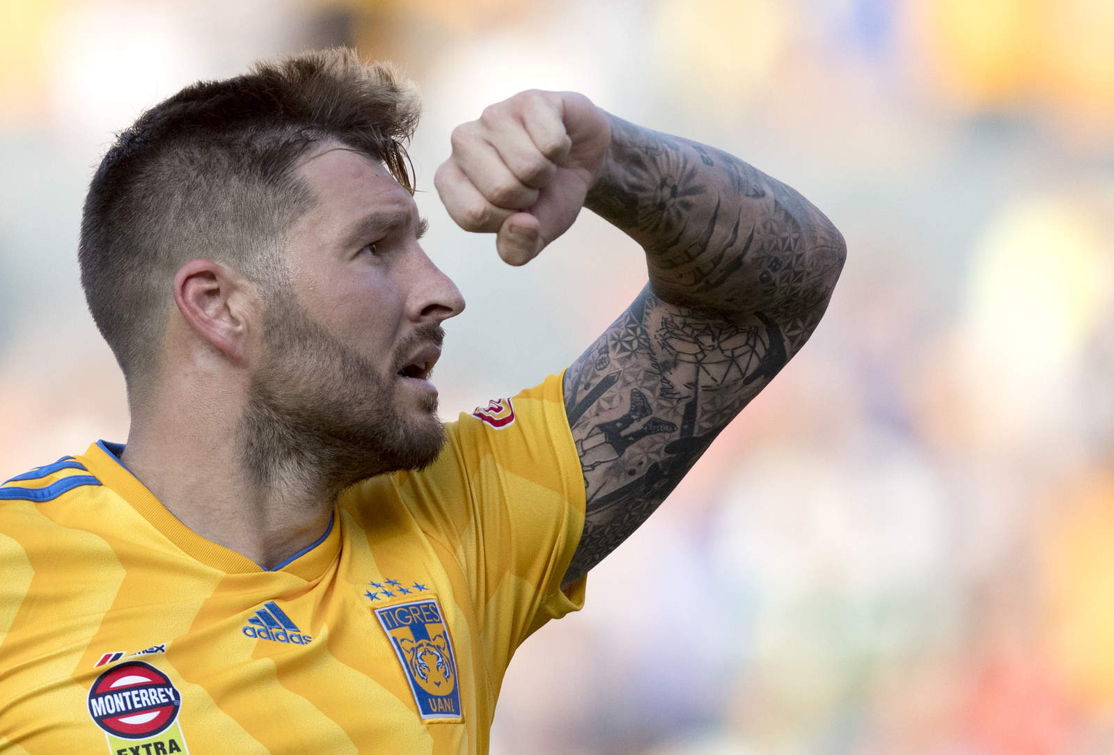 Gignac anhela ganar Concachampions para ir al Mundial de Clubes. Noticias en tiempo real