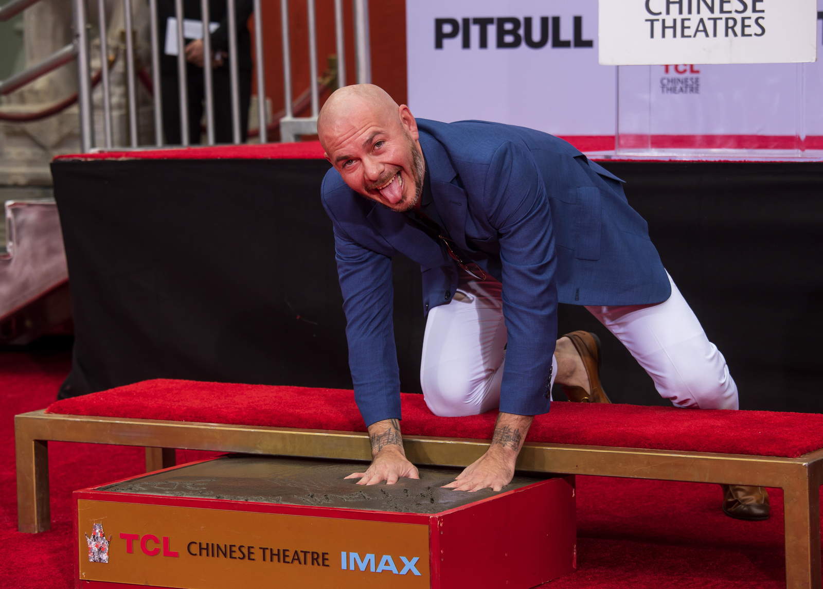 Pitbull coloca huellas frente al teatro Chino de Hollywood. Noticias en tiempo real