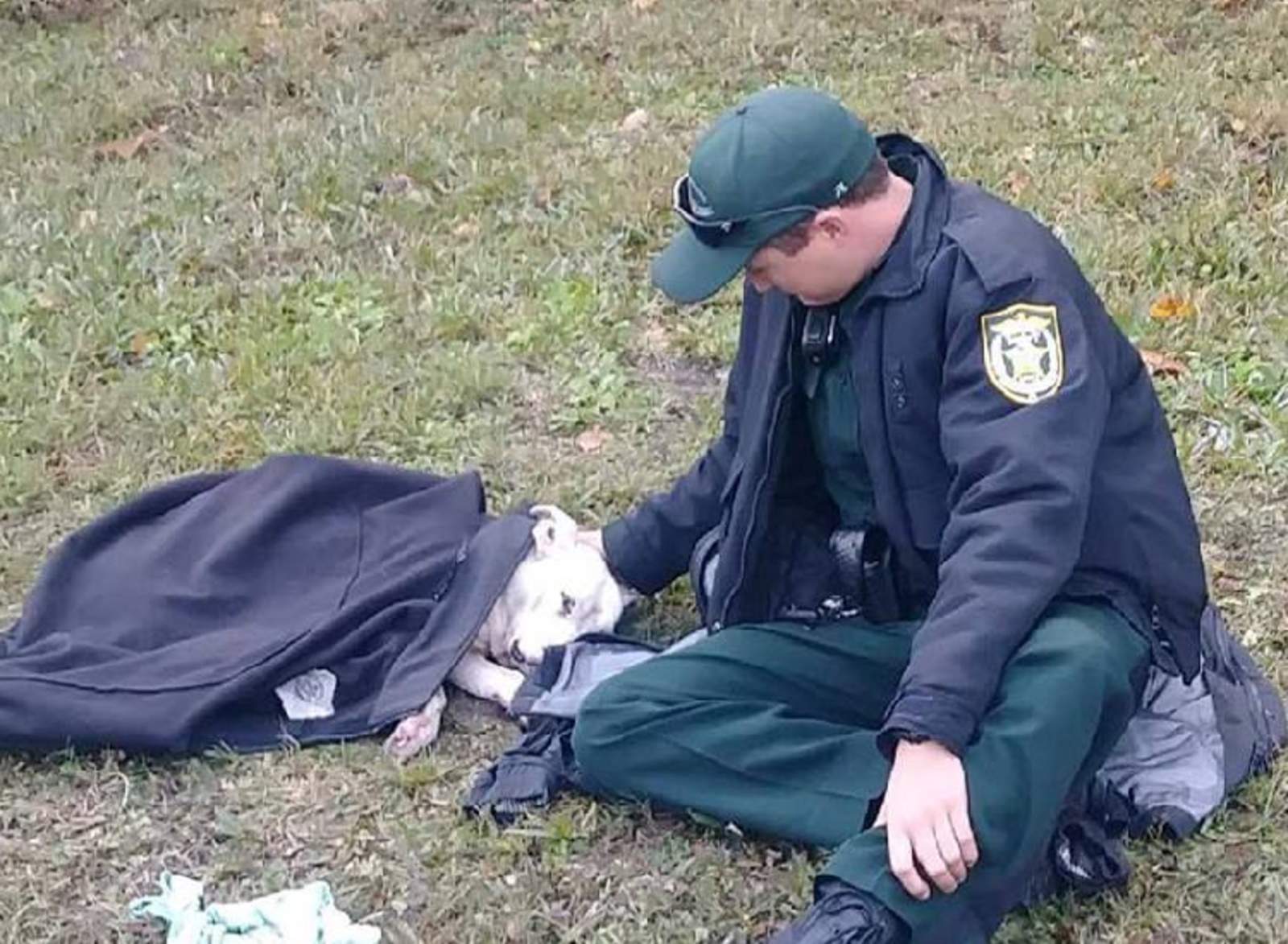 Policía cuida de una perra herida y encanta a la red. Noticias en tiempo real