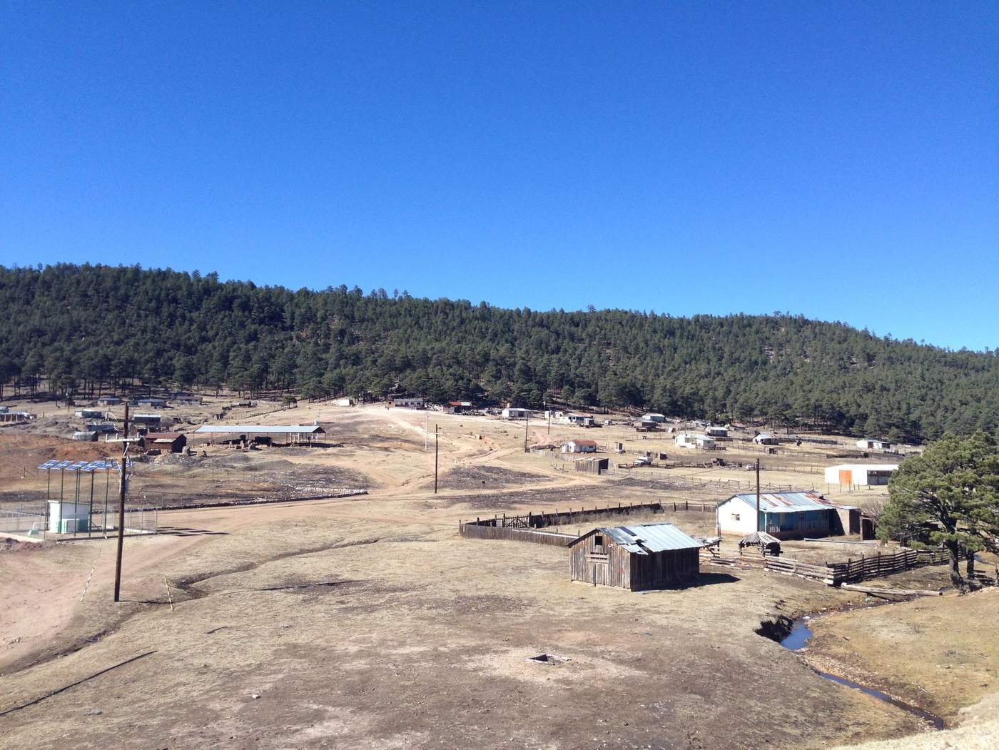 Durango presenta clima gélido con 12 grados bajo cero en La Rosilla. Noticias en tiempo real
