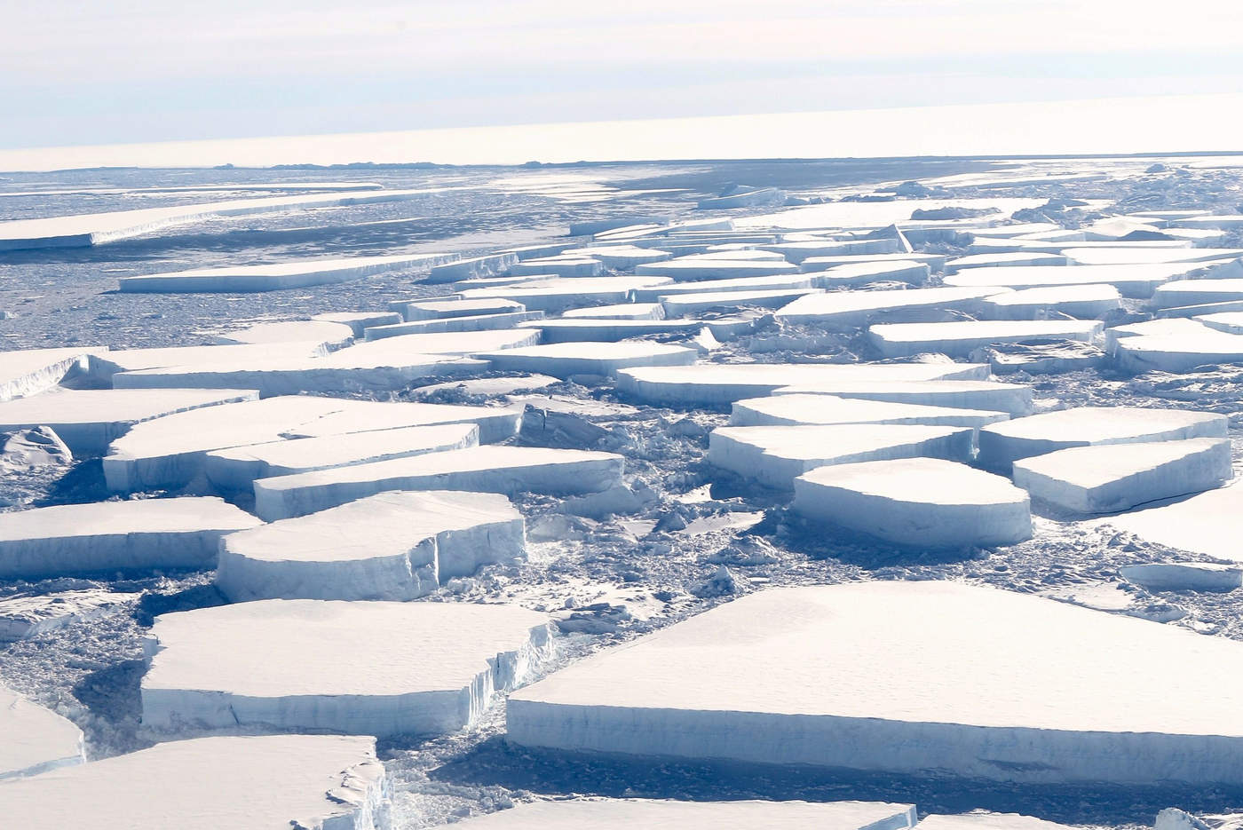 Antártida está perdiendo hielo más aceleradamente. Noticias en tiempo real