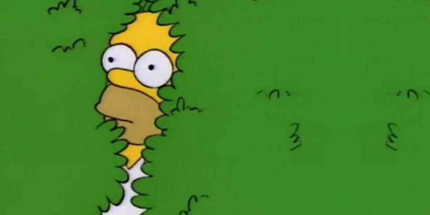 VIRAL: Homero Simpson utiliza su propio meme del arbusto, El Siglo de Torreón