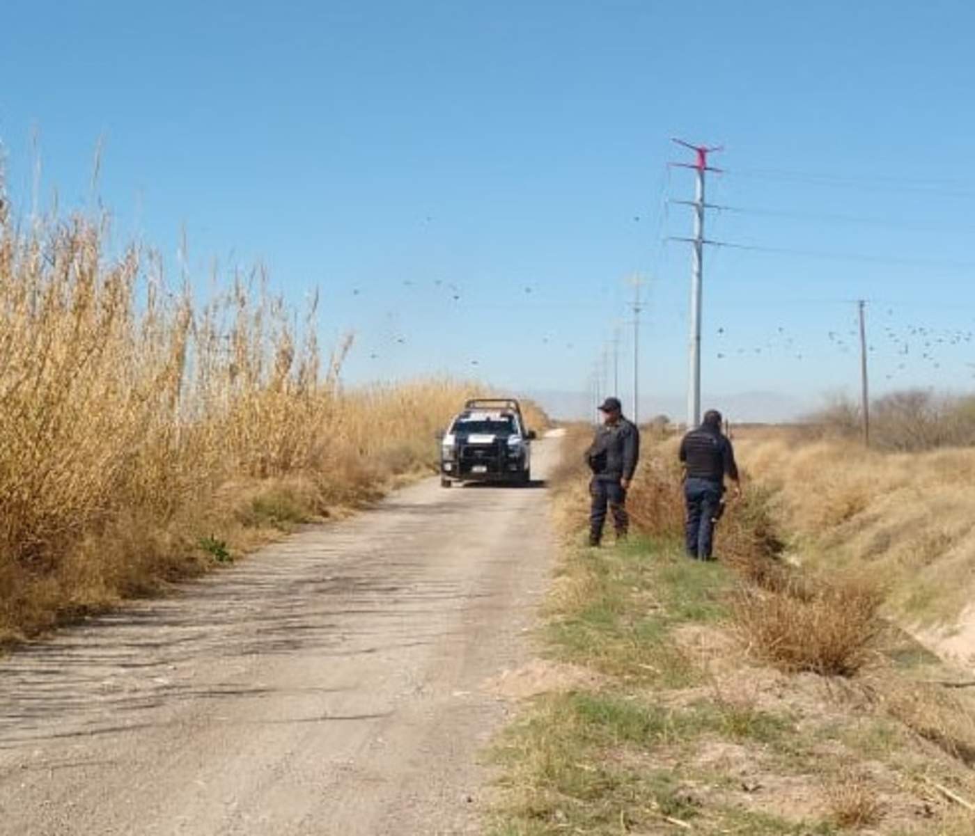 Encuentran cuerpo de hombre en ejido de Matamoros. Noticias en tiempo real