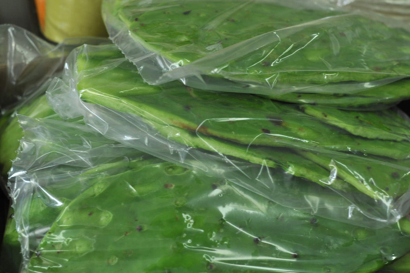 Se estabiliza precio de frutas y hortalizas en La Laguna. Noticias en tiempo real