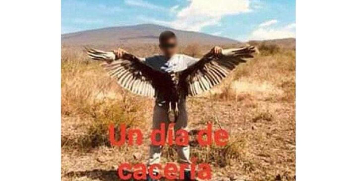 Menores matan águila en Guanajuato y la exhiben en redes sociales. Noticias en tiempo real