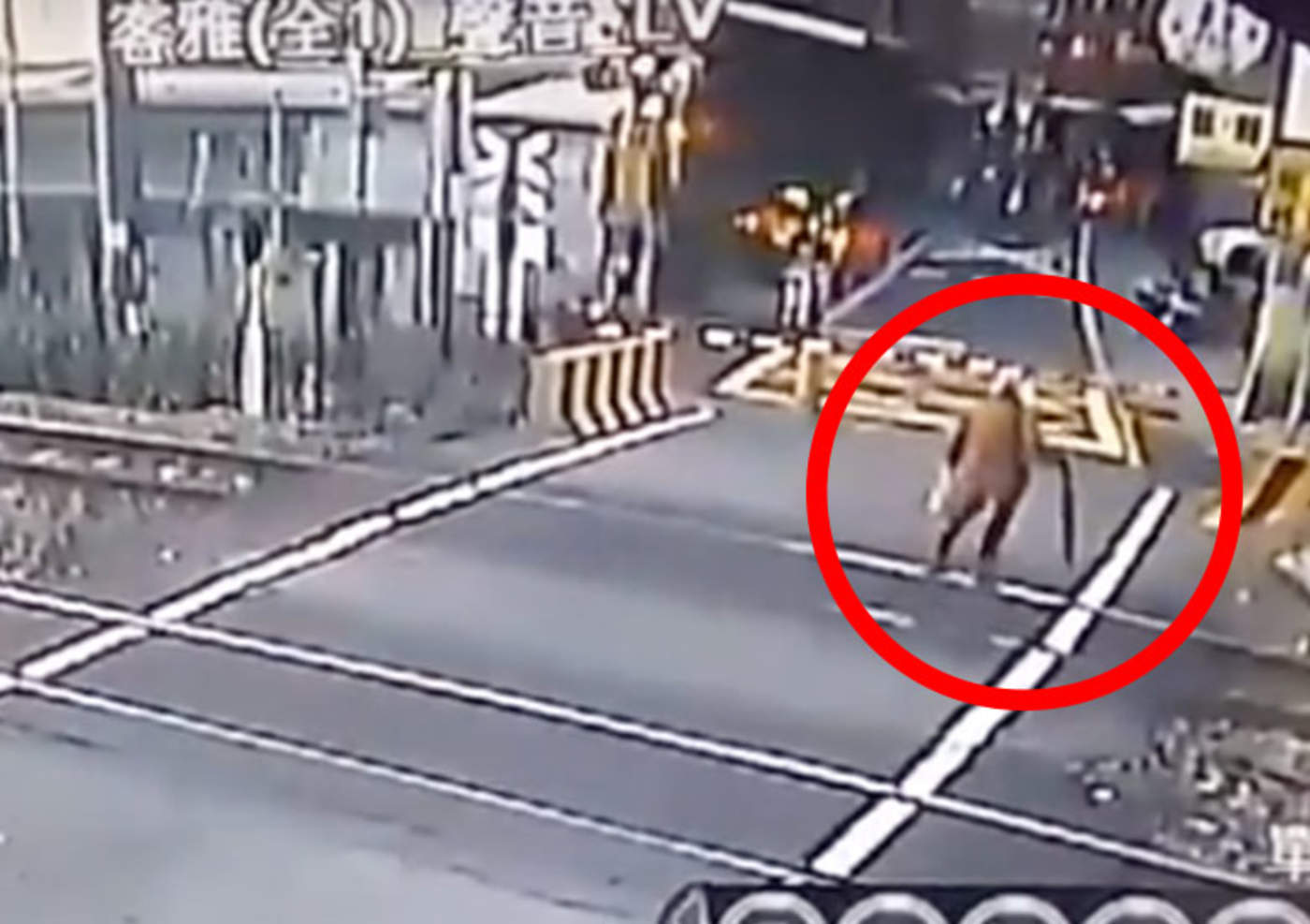 VIDEO: Anciana se salva de ser arrollada por tren. Noticias en tiempo real