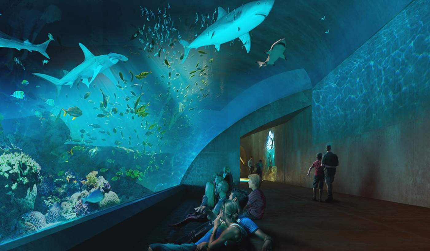 Así será el nuevo Acuario de Mazatlán, El Siglo de Torreón