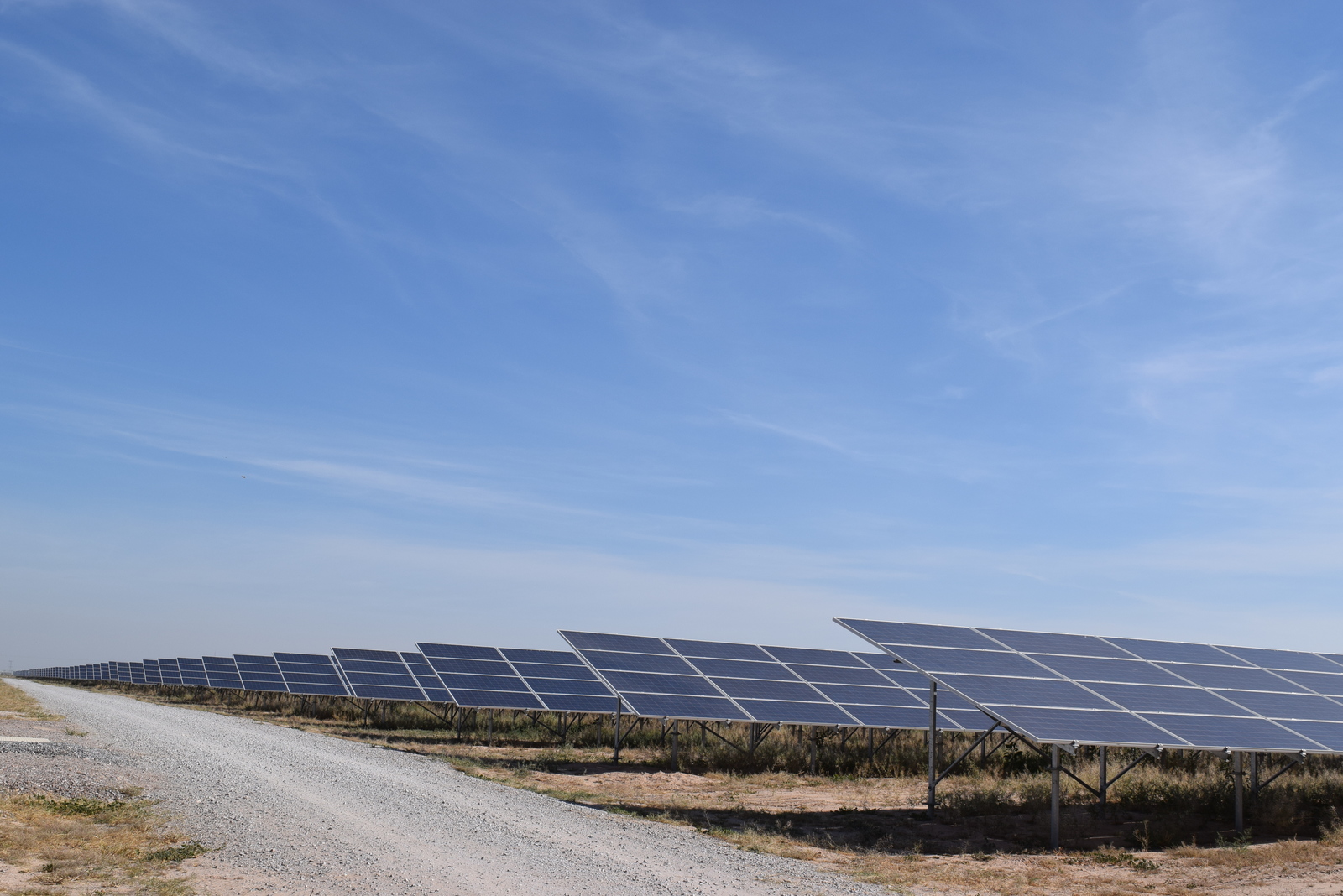 Compite México por el Bono Solar. Noticias en tiempo real