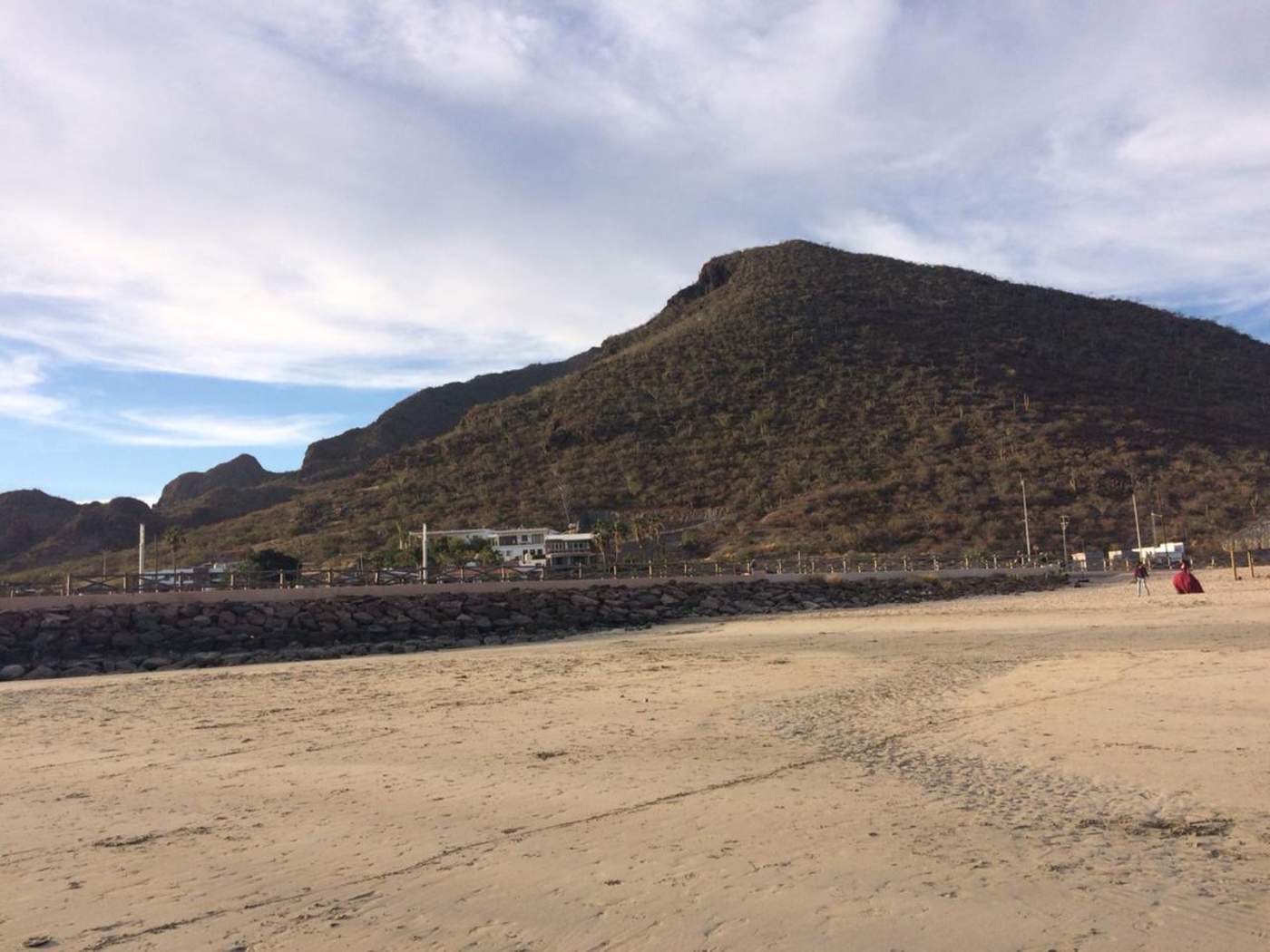Retrocede la marea hasta 30 metros en Sonora. Noticias en tiempo real