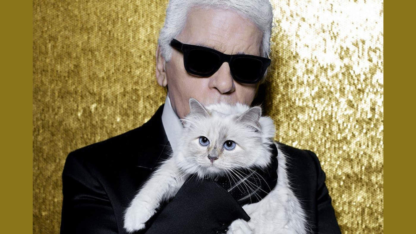 Choupette, la gata heredera de Karl Lagerfeld. Noticias en tiempo real