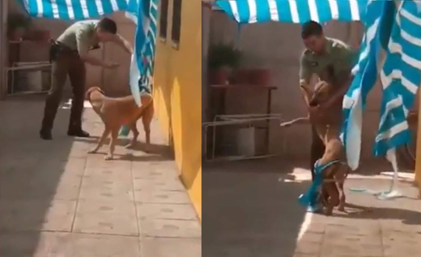 Reacción de perro al ser rescatado por un policía se vuelve viral. Noticias en tiempo real