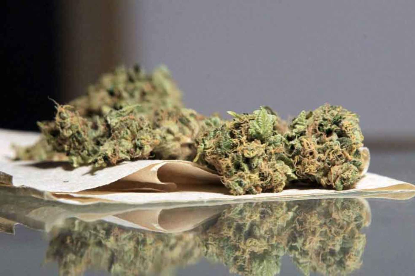 Legisladores de EUA buscan retirar marihuana de sustancias controladas. Noticias en tiempo real