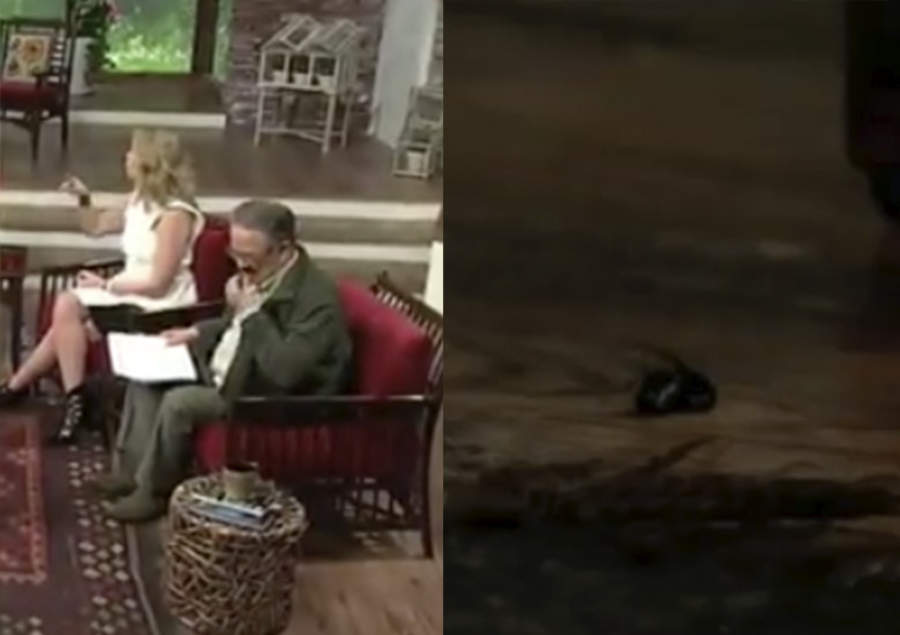 La Red Recuerda Cuando Pedro Sola Se Comio Una Mosca El Siglo De Torreon