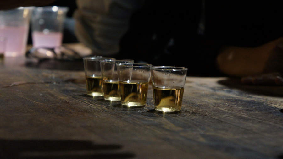 Jalisco busca récord Guinness en cata de tequila más grande del mundo. Noticias en tiempo real