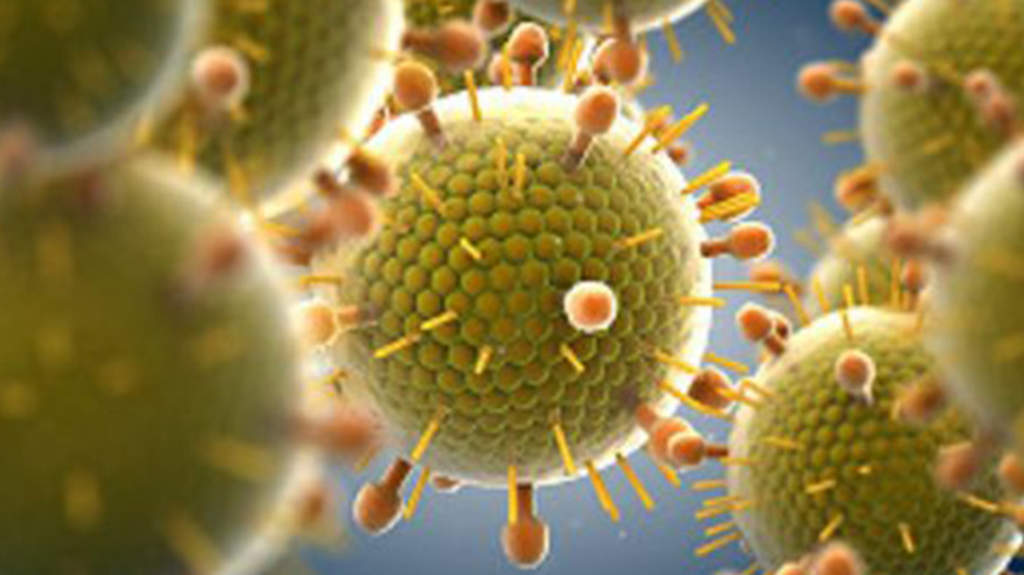 Crean vacuna contra el virus respiratorio sincicial, El ...